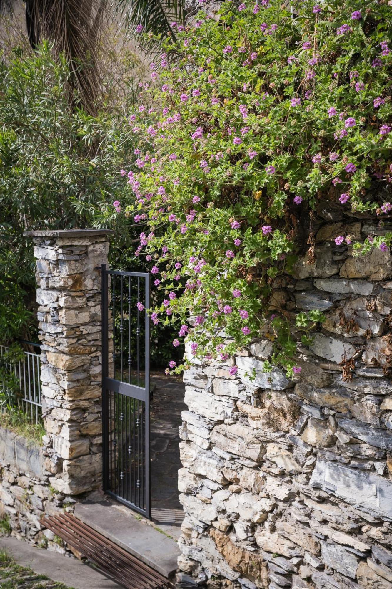 Casa Patty Vista Portofino Daire Zoagli Dış mekan fotoğraf